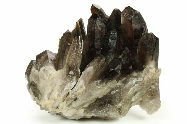 Dark Smoky Quartz Crystal Cluster - Brazil #274485